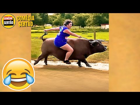 IMPOSSÍVEL NÃO RIR! Vídeos Engraçados 2024 thumbnail