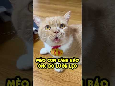 An An Cảnh Báo Ông Bố Lươn Lẹo 🥶 thumbnail