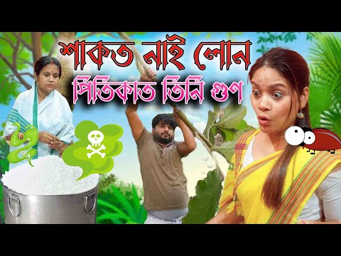 শাকত নাই লোন পিতিকাত তিনি গুণ | Assamese comedy video | Assamese funny video thumbnail