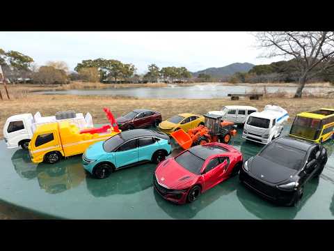 Find and pick up Tomica (miniature cars) and play with them! thumbnail