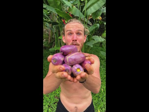 An Unbelievable African Fruit thumbnail
