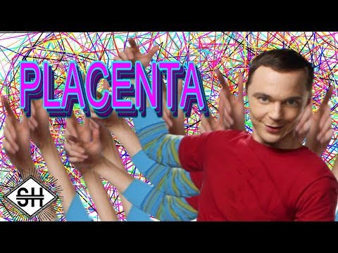 The Bing Bong Theorem [Feat. SorrowTV] thumbnail