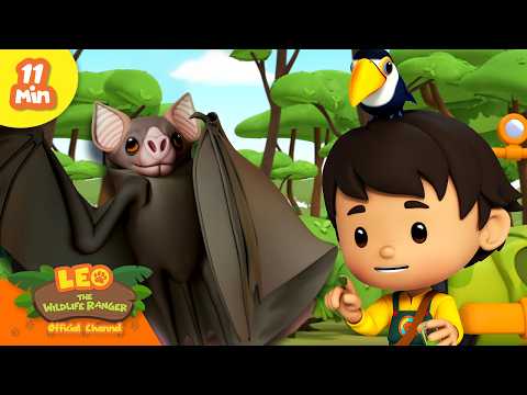 Leo Rescues an Injured Vampire Bat! 🦇 | Leo the Wildlife Ranger | Learning Animal Cartoons thumbnail
