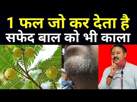 1 फल जो कर देता है सफेद बाल को भी काला || White Hair to Black || Rajiv dixit thumbnail