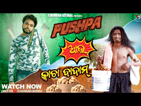 pushpa au kacha badam || Odia Comedy || Chandan biswal thumbnail