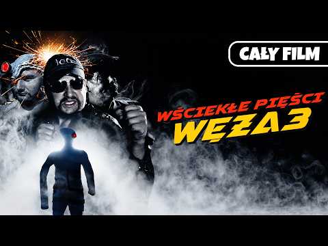 WŚCIEKŁE PIĘŚCI WĘŻA 3 (cały film) reż. Bartosz Walaszek | © SPInka Film Studio thumbnail