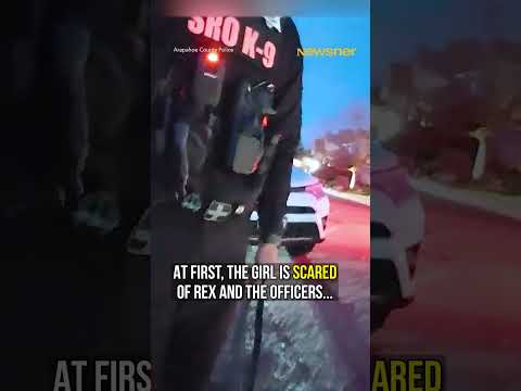 Hero dog leads police to missing child 🙏 thumbnail