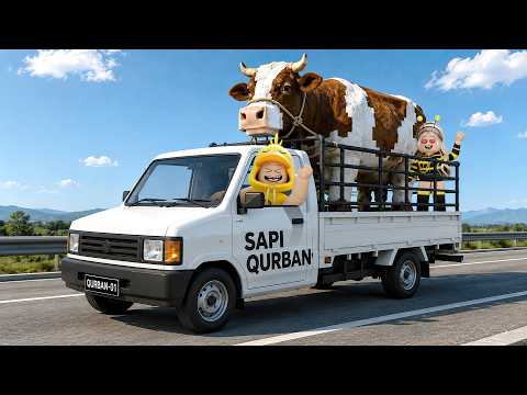 HATCH!! Aku Beli SAPI KURBAN LIMOUSIN Termahal!! thumbnail