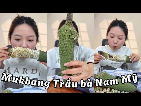 Mukbang Trầu bà Nam Mỹ 380k/quả??| Pít Ham Ăn thumbnail