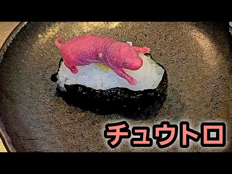 本当に下品な寿司だよ thumbnail