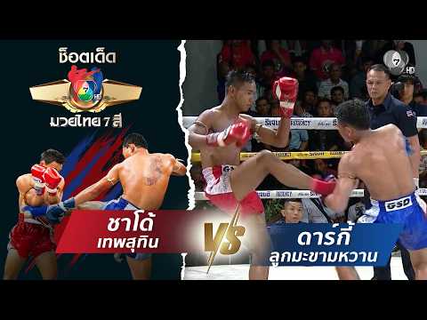 ชาโด้ เทพสุทิน vs ดาร์กี้ ลูกมะขามหวาน | ช็อตเด็ดแม่ไม้มวยไทย 7 สี thumbnail
