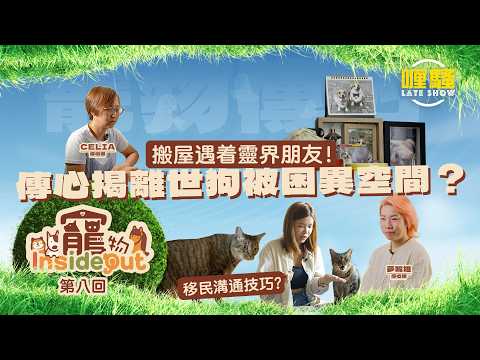 《寵物Inside Out》第八集預告 thumbnail