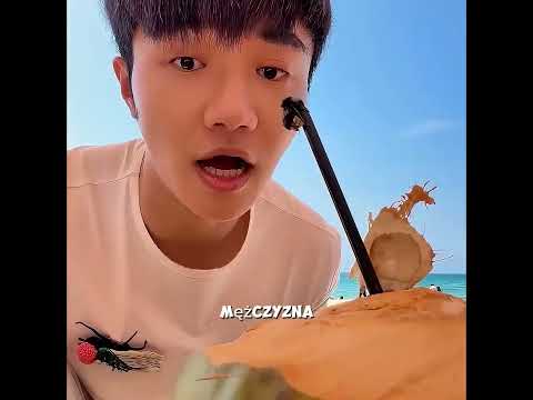 „Pszczoła, która podróżowała 3000 km i wygrywała w madżonga” 🐝🎮✨ thumbnail