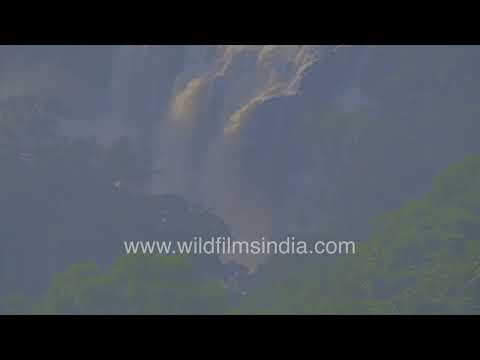 Gaganachukki Falls in full monsoon flow at Shivanasamudra Karnataka thumbnail