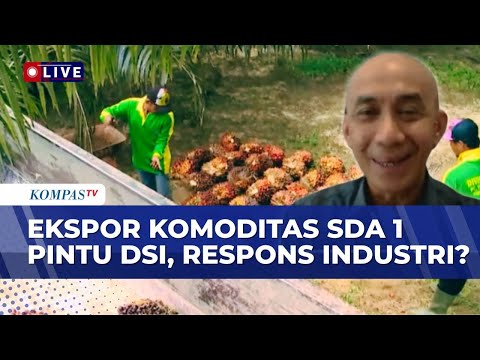 [FULL] Ketua Komite Bidang Energi & SDM Apindo Bahas soal Kebijakakan Ekspor Satu Pintu Melalui DSI thumbnail