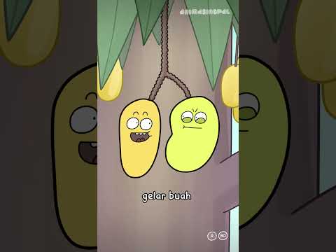 BUAH TERMANIS DI DUNIA KALAH SAMA BUAH DARI INDONESIA 💀 thumbnail