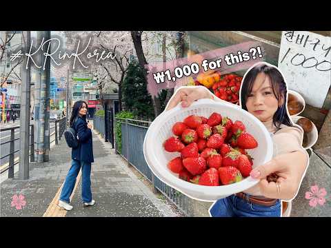 A Korean market most tourists never see 🇰🇷 thumbnail