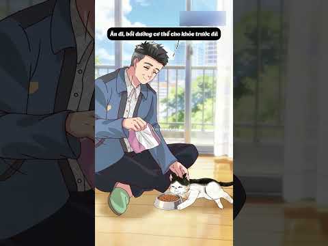 Câu chuyện về chú mèo hoang với hành trình đầy kì tích! thumbnail