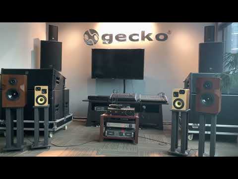 The Sound of DEFINITY M6 6.5” Reference-Grade Loudspeakers + α-1 Mastering Power Amplifier thumbnail