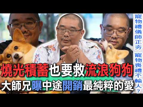 燒光積蓄也要救流浪狗狗  大師兄曝中途開銷最純粹的愛【新聞挖挖哇】 thumbnail