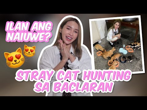 STRAY CAT HUNTING SA BACLARAN (NAKAKAIYAK SA SAYA)  | JELAI ANDRES thumbnail