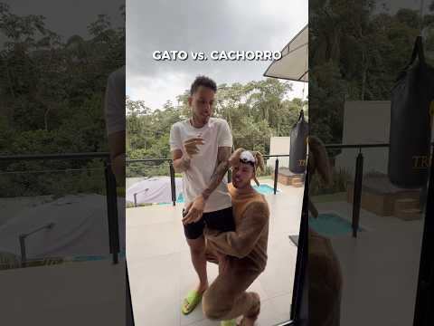GATO vs. CACHORRO - Parte 3 thumbnail
