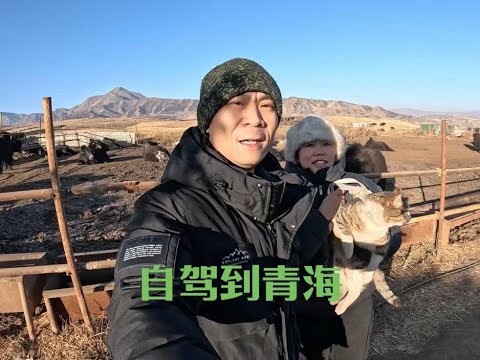 带着跑车里来的流浪猫回重庆，经过青藏高原带些牦牛肉回家过年 thumbnail