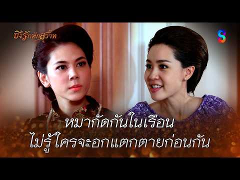 หมากัดกันในเรือน ไม่รู้ใครจะอกแตกตายก่อนกัน | HIGHLIGHT ชิงรักหักสวาท EP.24 | ละครช่อง8 thumbnail