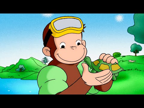 ¡Animales submarinos! | Episodios Completos | Jorge El Curioso En Español thumbnail
