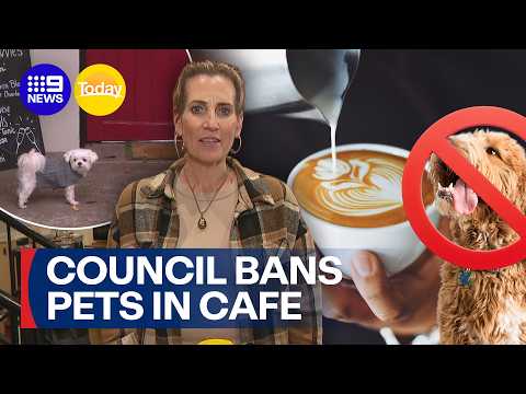 Dog-friendly cafe forced to ban pets by council | 9 News Australia thumbnail