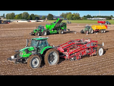 Harvesting Seed Potatoes w/ Two Fase System | AMAC Stock Harvester & AVR Spirit 9200i | Deutz Fahr thumbnail