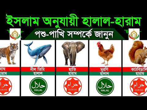 ইসলামের দৃষ্টিতে পৃথিবীর যেসব পশু-পাখির মাংস খাওয়া হালাল ও হারাম। Halal & Haram Animals In Islam thumbnail