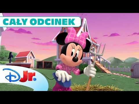 🐓 Minnie na farmie | Miki i Raźni Rajdowcy | Disney Junior Polska thumbnail