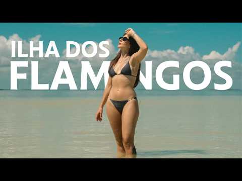 MÉXICO🇲🇽 A ILHA DOS FLAMINGOS | DANI NOCE VIAGEM 307 thumbnail