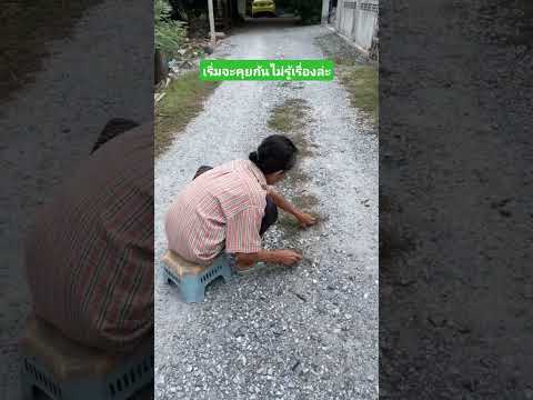 เริ่มจะคุยกันไม่รู้เรื่องล่ะ #funny #comedy #reels #เล่าเรื่องตลก #คลิปตลก thumbnail