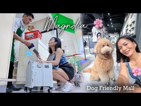 RAINY DAY at Robinsons Magnolia (Dog Friendly Mall) 🐶 thumbnail