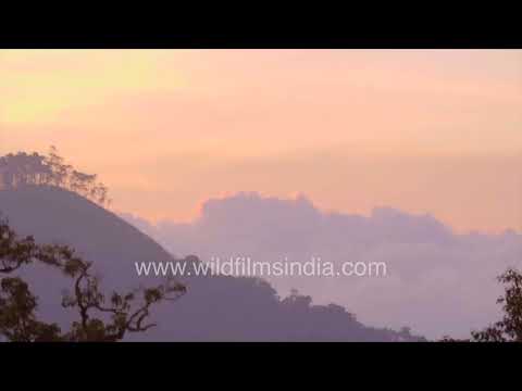 Scenic mountain landscapes from Pampadum Shola National Park in the Western Ghats thumbnail