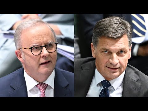 Albanese blasts Taylor as ‘leader of Liberal One National Party' in migration clash thumbnail