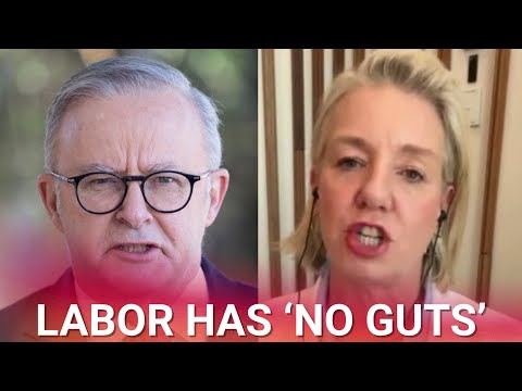 ‘Appalling’: McKenzie calls out ‘no guts’ Labor over tax change controversy thumbnail