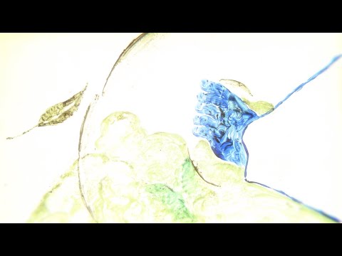 ヨルシカ - へび（OFFICIAL VIDEO） thumbnail