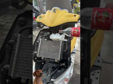Ausgleichsbehälter Kühlmittel wechseln Peugeot Speedfight 2 50ccm thumbnail