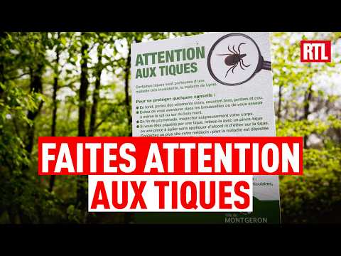 Les répulsifs contre les tiques : ça marche ou pas ? thumbnail