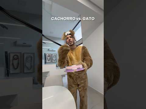 Cachorro VS Gato thumbnail