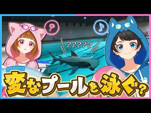 【告知あり】暖かくなってきたので○○がいるプールにでかけます? thumbnail