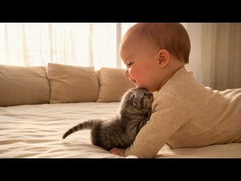 This Talking Cat and Baby Friendship Is Too Cute to Resist ??? thumbnail