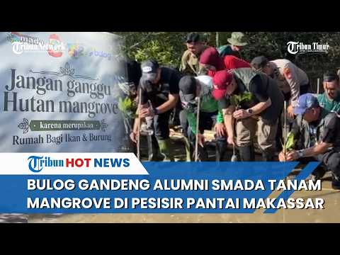 Wali Kota Makassar & Wakil Dirut Bulog Tanam 4.000 Bibit Mangrove di Area Konservasi Untia Makassar thumbnail