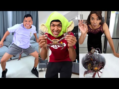 LARIN JR ME DESPERTO CON UN CANGREJO | LOS NUEVOS TIKTOK DE ALFREDO LARIN thumbnail