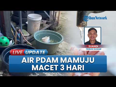 Air PDAM Mamuju Tidak Mengalir 3 Hari, Warga Tadah Air Hujan untuk Kebutuhan Sehari-sehari thumbnail