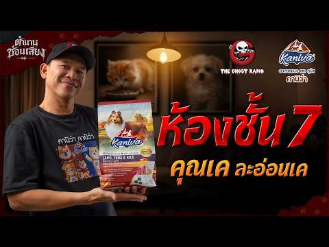 ห้องชั้น 7 • คุณเค ละอ่อนเค | ตำนานซ่อนเสียง | สนับสนุนโดย  อาหารแมวและสุนัข คานิว่า thumbnail