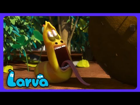 Larva - ¡El secreto de la salchicha! | Dibujos Infantiles | WildBrain Niños thumbnail
